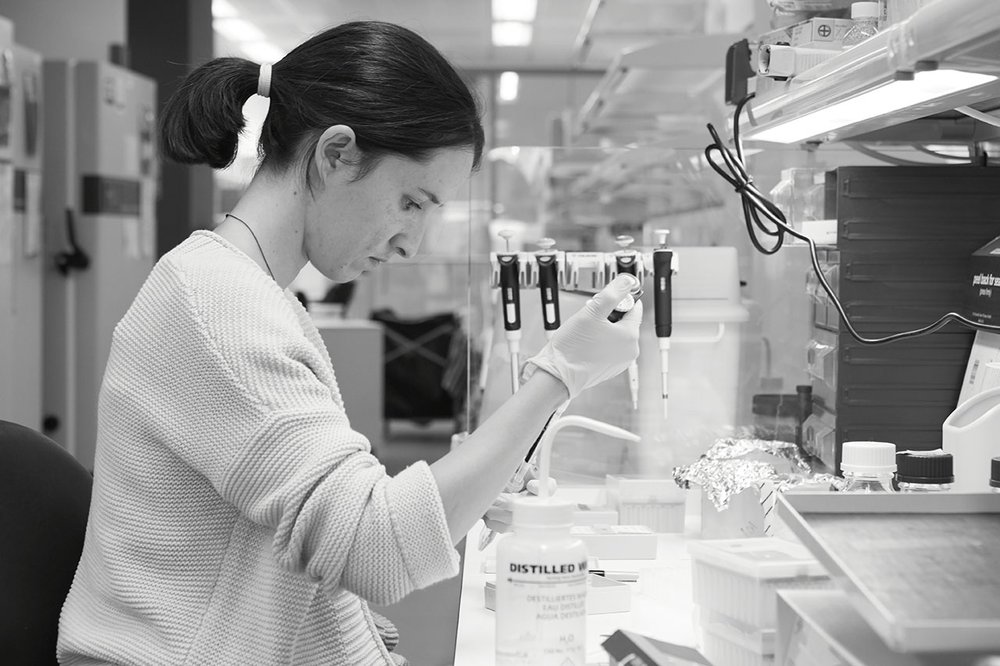 Midland Road Lab