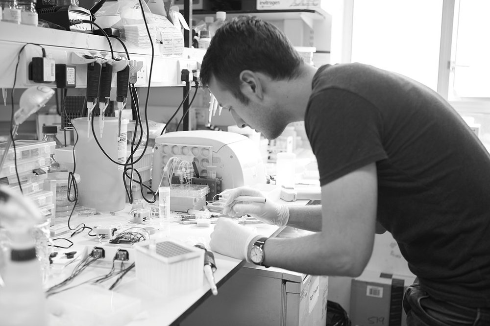 Mill Hill Lab