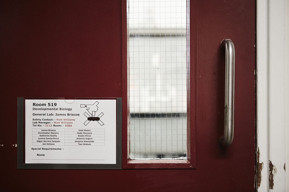Mill Hill Lab Door