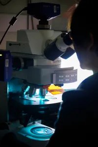Mill Hill Microscope