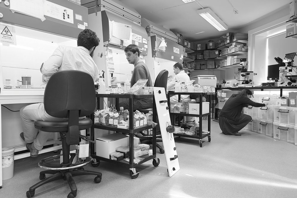 Mill Hill Tissue Culture