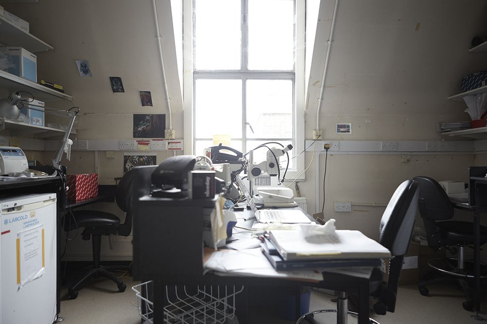 Mill Hill Attic Lab