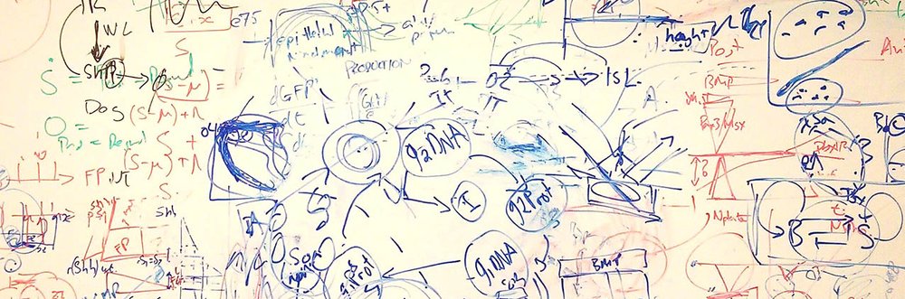 Mill Hill White Board